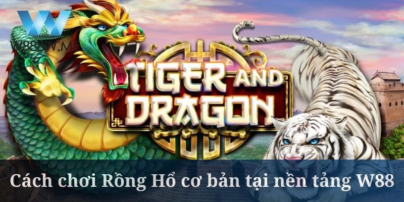Cách chơi Rồng Hổ W88 đưa ra khá nhiều lựa chọn đặt cược