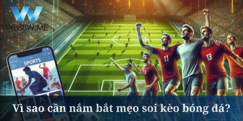 Vì sao cần nắm bắt mẹo soi kèo bóng đá?