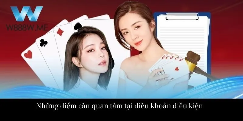 Những điểm cần quan tâm tại điều khoản điều kiện